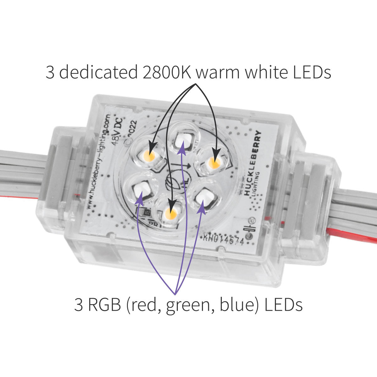 4 Light String of 48V RGBWW LED Lights